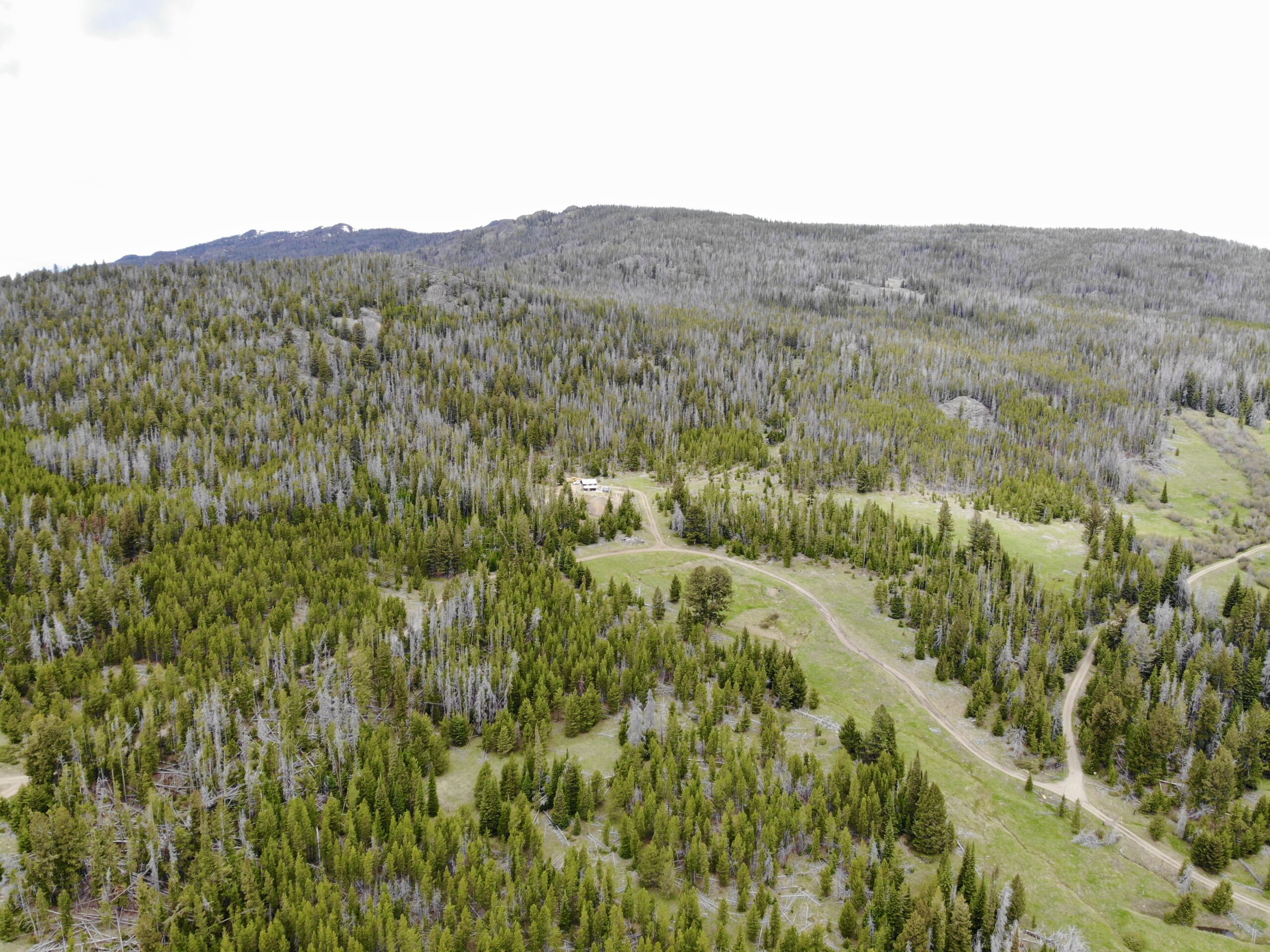 created by dji camera