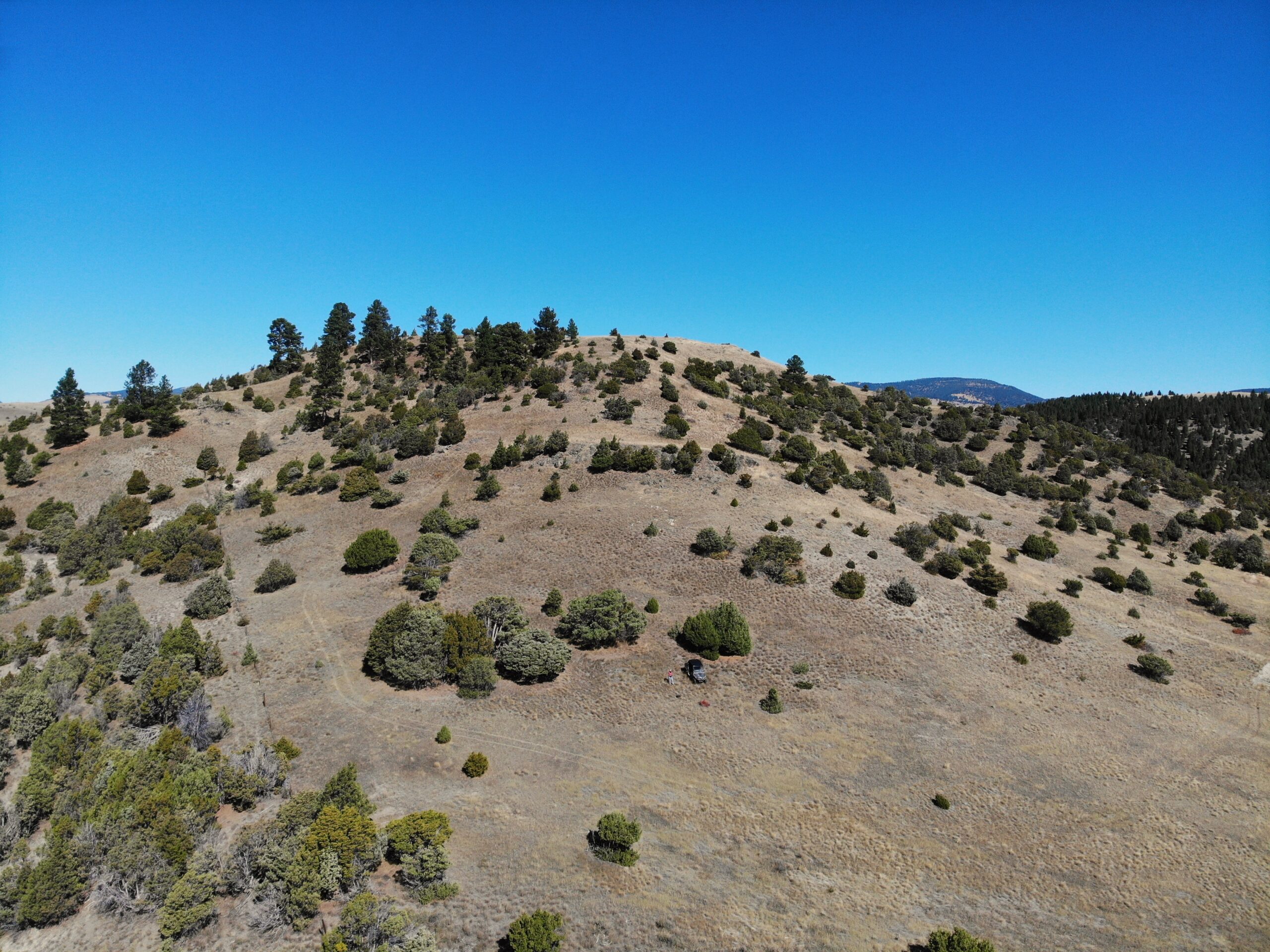 created by dji camera