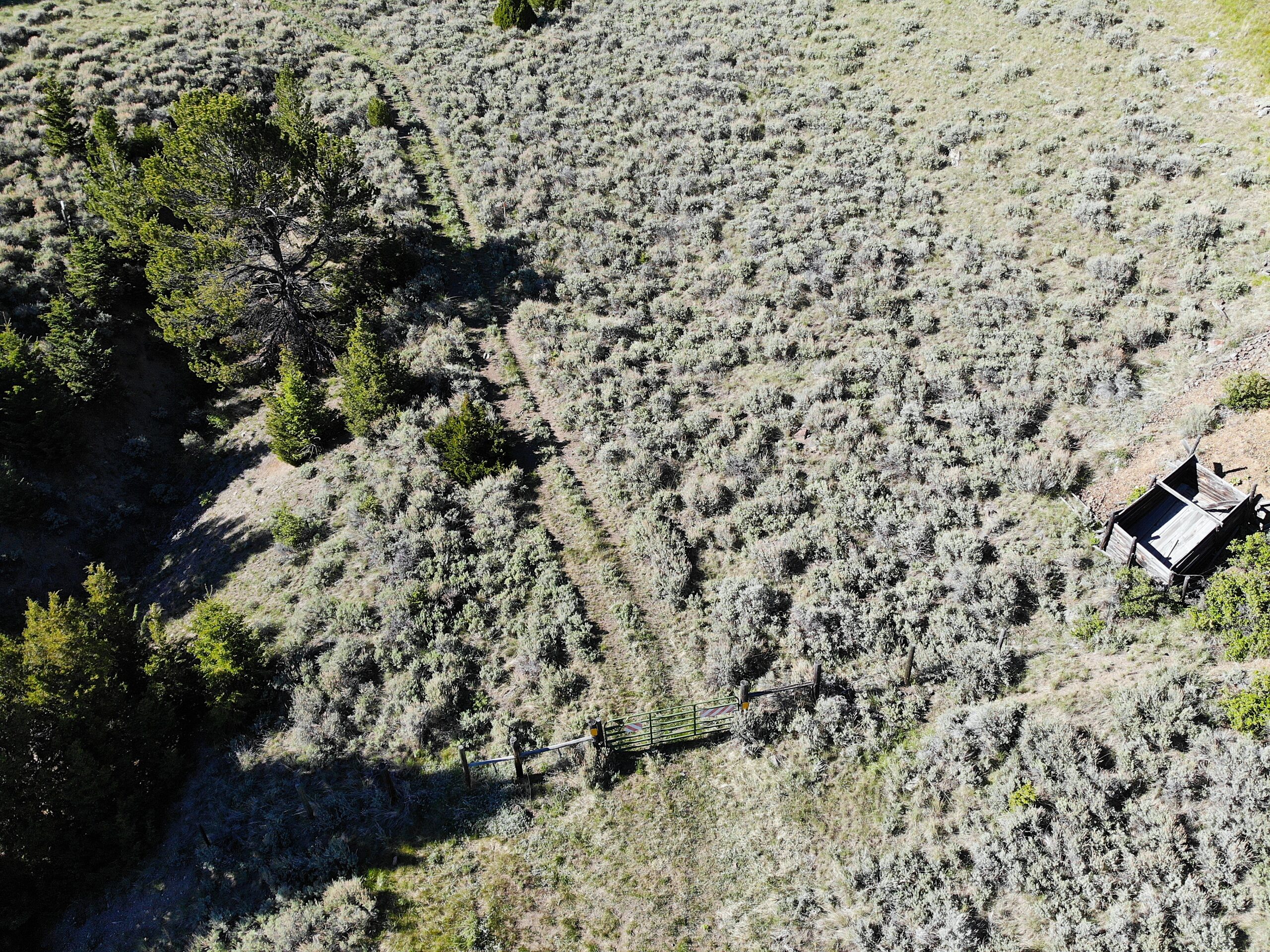 created by dji camera